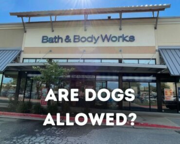 Is Bath and Body Works Dog Friendly?