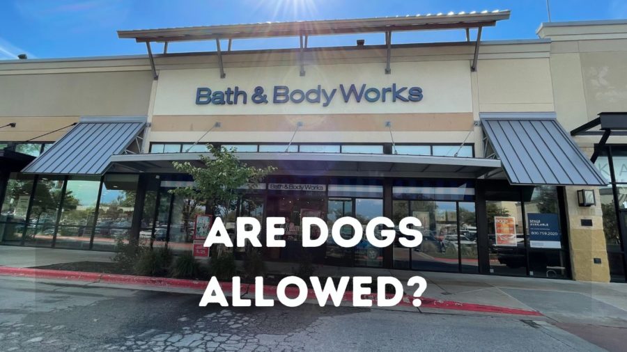 Is Bath and Body Works dog friendly?