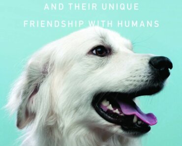 Best Books for Dog Lovers to Read in the New Year