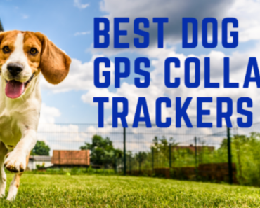 Best Dog GPS Collar Trackers For 2023