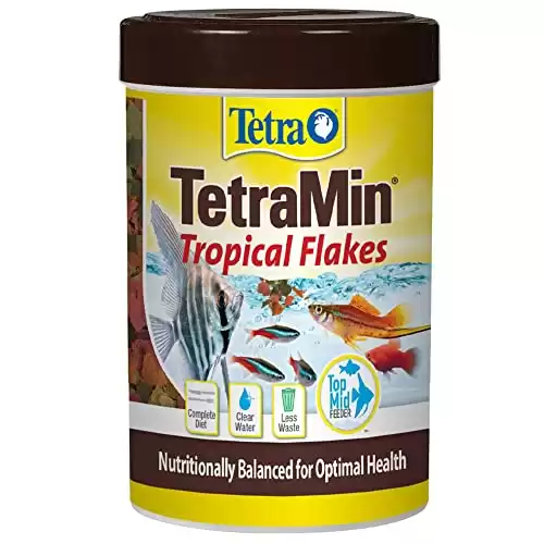 Tetra TetraMin Tropical Flakes