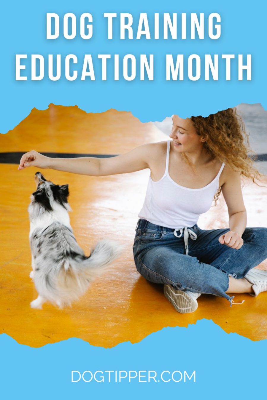Dog Training Education Month