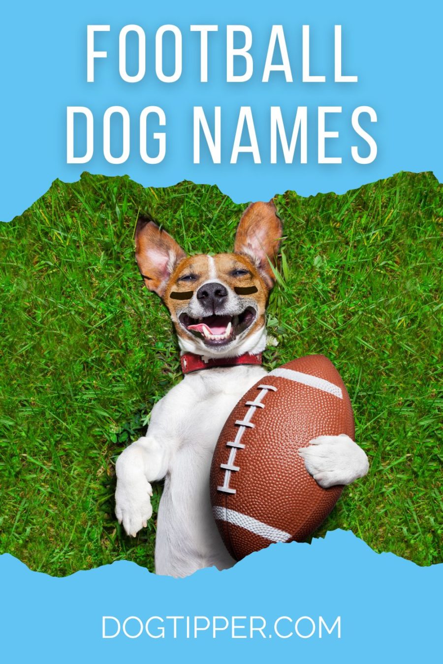 Football Names for Your New Dog or Puppy!