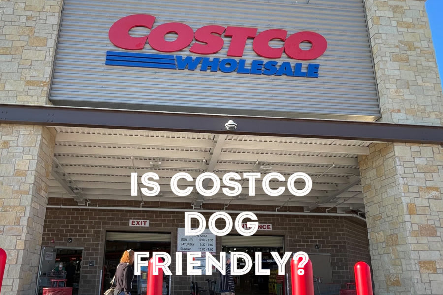 Are dogs allowed in Costco stores?