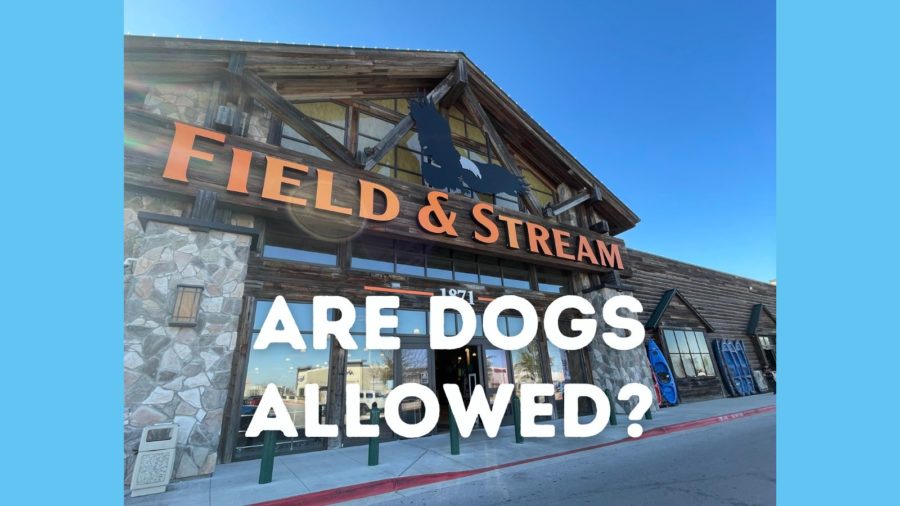 Are dogs allowed in Field & Stream stores?