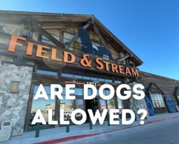 Is Field & Stream Dog Friendly?