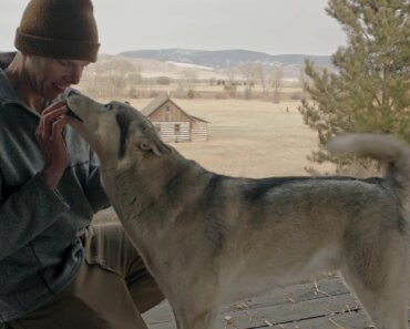 New Movie Features Rescued Siberian Husky