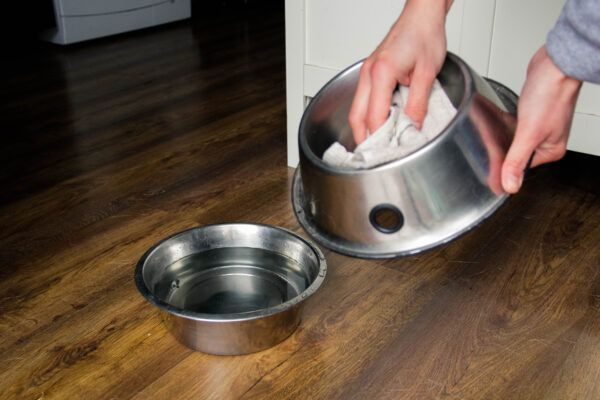 Dog food bowls