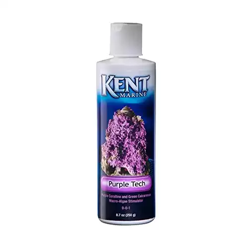 Kent Marine Tech Bottle Purple