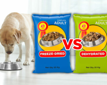 Why freeze-dried dog food is better than dehydrated