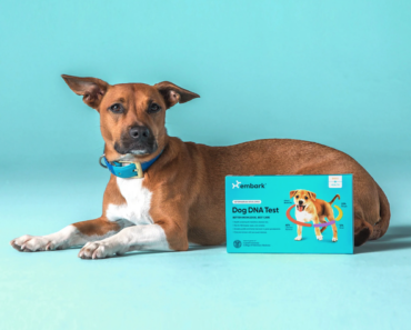 The Best Dog DNA Test Kits Reviewed