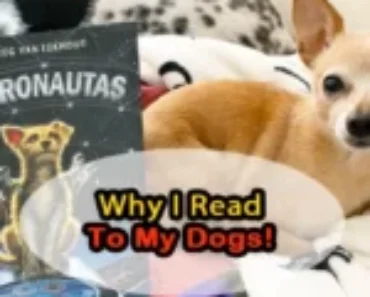 Why I Read To My Dogs – It’s Not Just For Kids!
