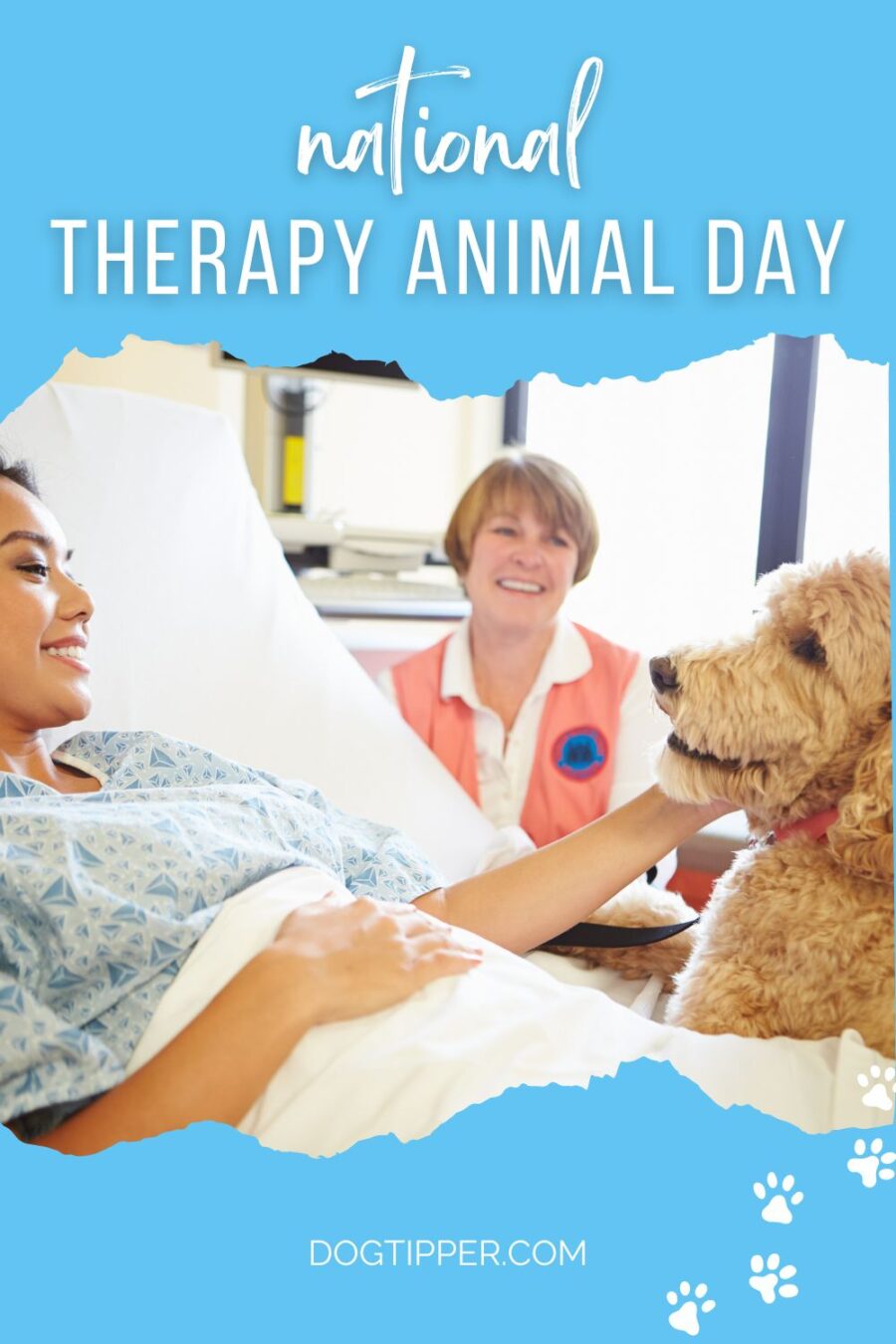 National Therapy Animal Day #dogs #petholidays #therapydogs #therapyanimals