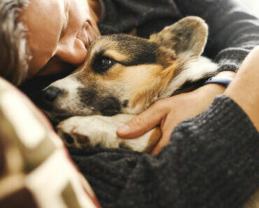 Why Some Pet Parents Choose In-Home Euthanasia