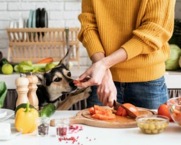 Pet Treats That Support Her Health