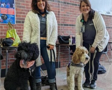 Therapy Dogs Help a Community Heal After School Tragedy