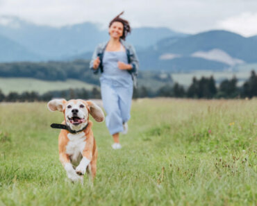 Weight Management for Dogs: Healthy Eating Habits and Exercise