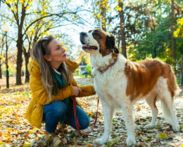 Choosing an Animal Communicator for Your Dog or Cat