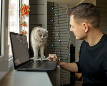 Video Vet Appointments Less Stressful for Cats