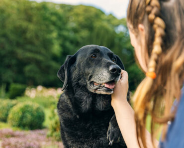 Self-Care Tips for Senior-Dog Guardians