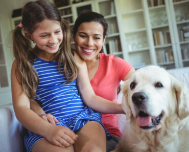 The Gentle Touch: Teaching Kids How to Pet a Dog