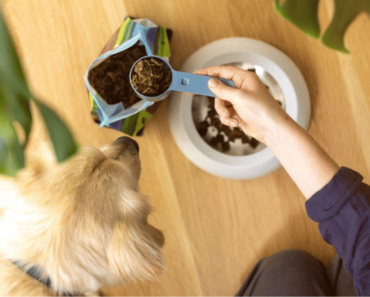 Novel Pet Food Ingredients You Need to Know About!