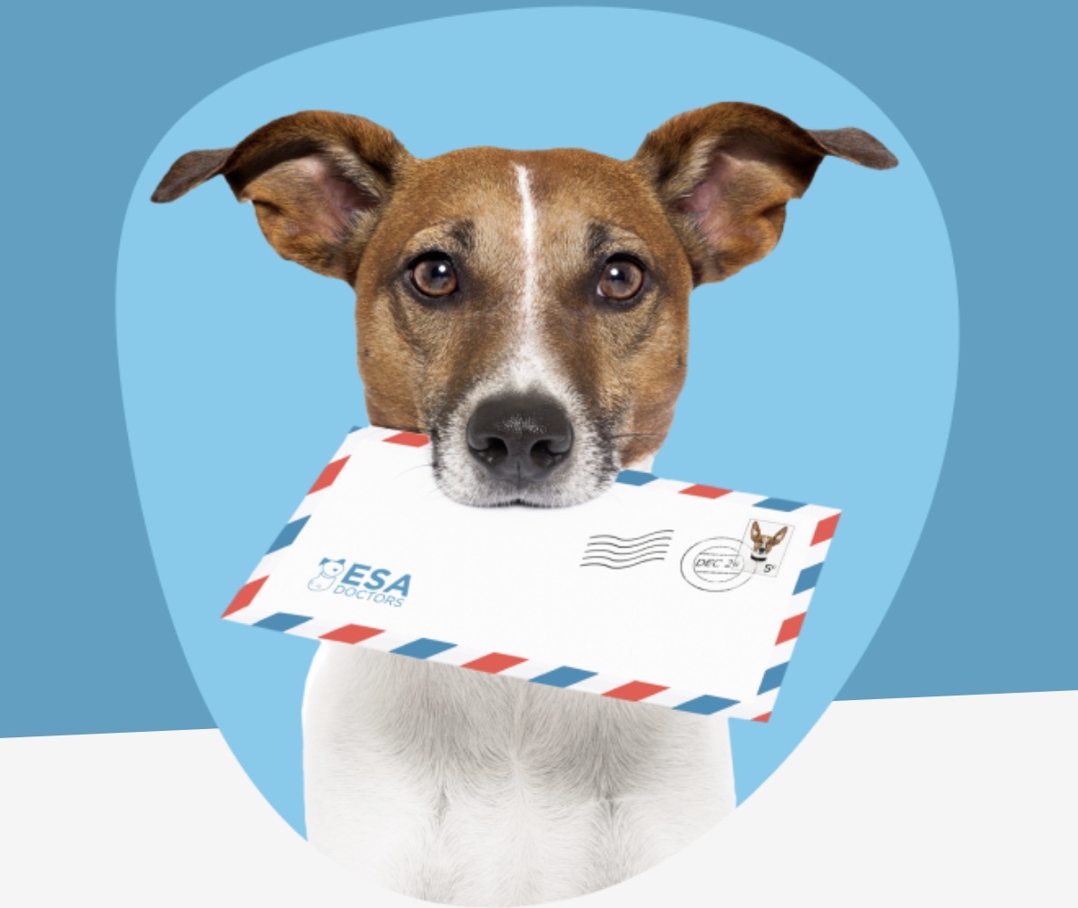 Dog with ESA Letter