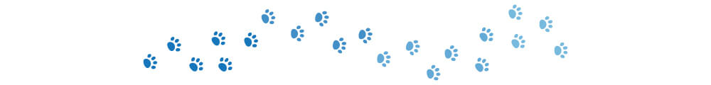 dogster paw divider
