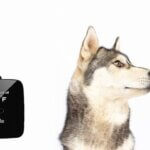 Waggle Pet Monitor Pro+