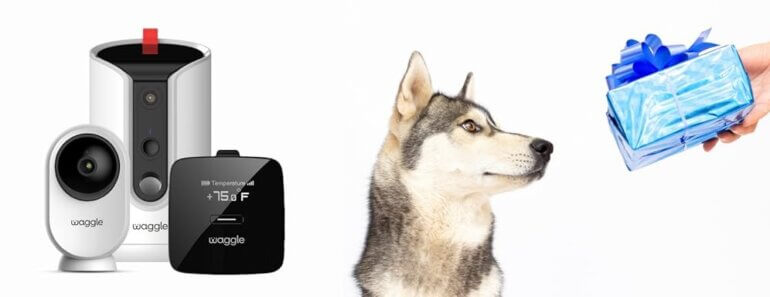 Waggle Pet Monitor Pro+ Review: Smarter Pet Safety for RV & Vehicle Travel