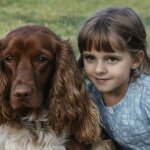 Cocker Spaniel and Kid