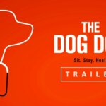 dog doc