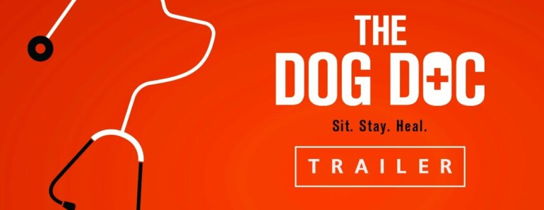 The Dog Doc Documentary: A Must-See for Every Dog Owner
