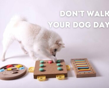 Don’t Walk Your Dog Day