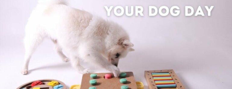 Don’t Walk Your Dog Day