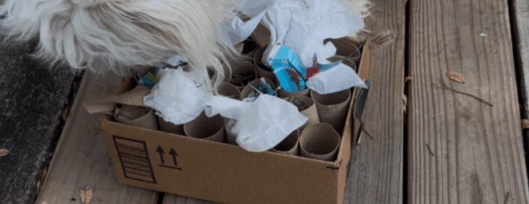 Make a DIY Snuffle Box