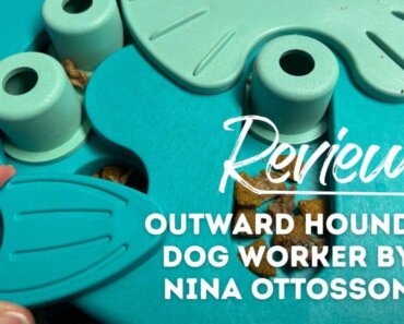 Review: Outward Hound Dog Worker by Nina Ottosson
