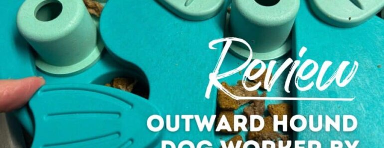 Review: Outward Hound Dog Worker by Nina Ottosson