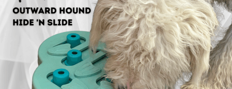 Review: Outward Hound Hide ‘n Slide by Nina Ottosson
