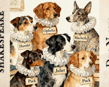 Shakespeare Dog Names: 200+ Literary Names from the Bard